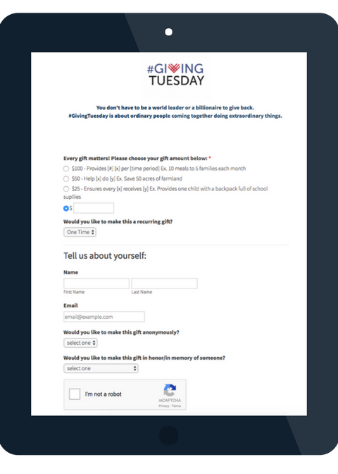 sample GivingTuesday donation form