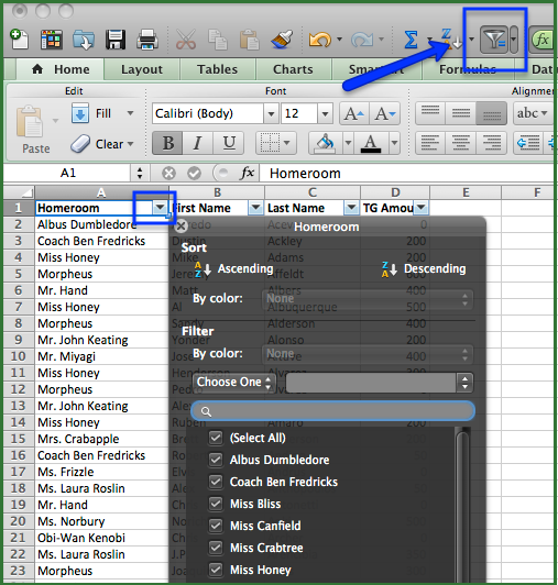 using filters in excel