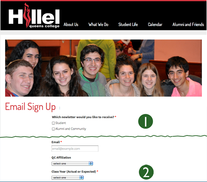 email signup form