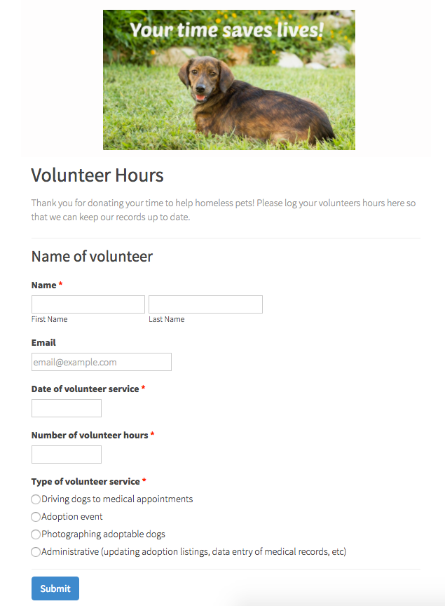 Sample volunteer hours form