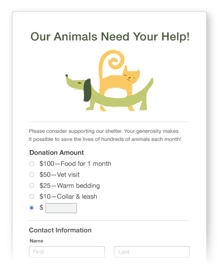 online donation form for nonprofits and charities