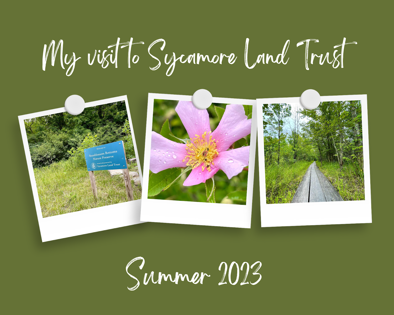 Sycamore Land Trust Hike