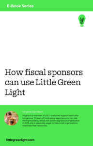 fiscal sponsor cover Free Guide for fiscal sponsors
